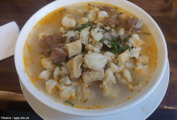 Patasca